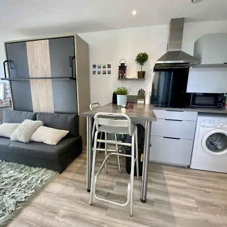 Apartament Studio Anglet, 1 Piece, 2 Personnes - Fr-1-499-27 *